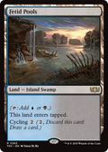 Fetid Pools (TDC-363) - Commander: Tarkir: Dragonstorm