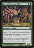 Juvenile Gloomwidow (SHM-121) - Shadowmoor