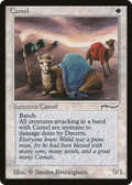 Camel (ARN-) - Arabian Nights