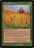 Elephant Grass (VIS-) - Visions