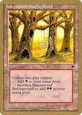 Havenwood Battleground - 1996 Bertrand Lestree (FEM) (WCD-) - Pro Tour Collector Set
