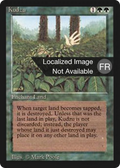 Kudzu (FBB-) - Foreign Black Border