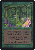 Wild Growth (LEA-) - Limited Edition Alpha